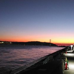 ハイシーズン突入