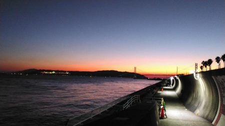 ハイシーズン突入