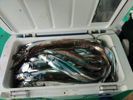泉州丸　釣果