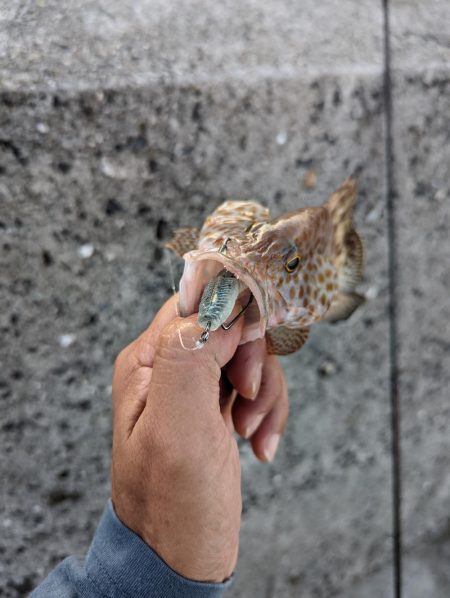 ここでも小さいながらも本命ゲット