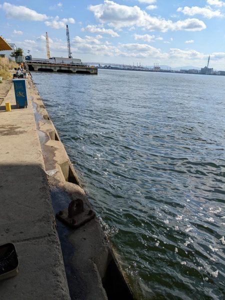 カワハギに夢中