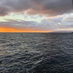 2022 佐渡ヶ島エギング 36回目【10月26日】