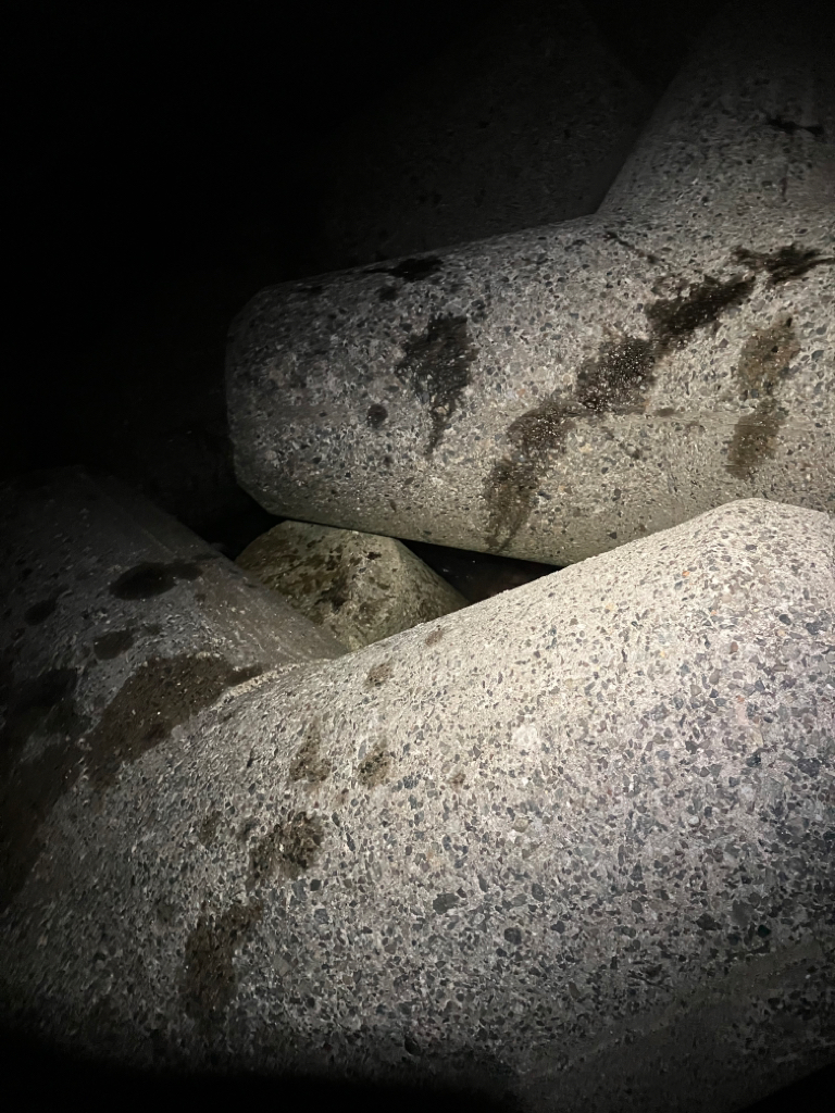 噂通りの絶好調?