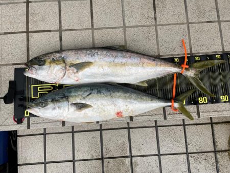 丹後沖ジギング