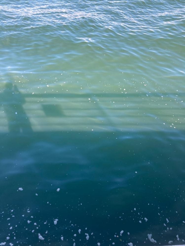 激混み湾奥コスモ。ハマチ42cm。。