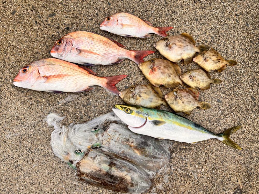 色々と釣れました