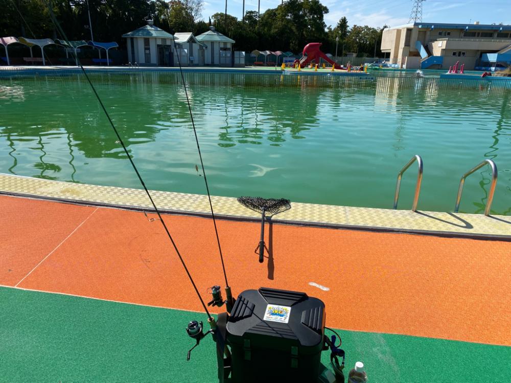 プレオープン　久宝寺緑地エリアトラウト