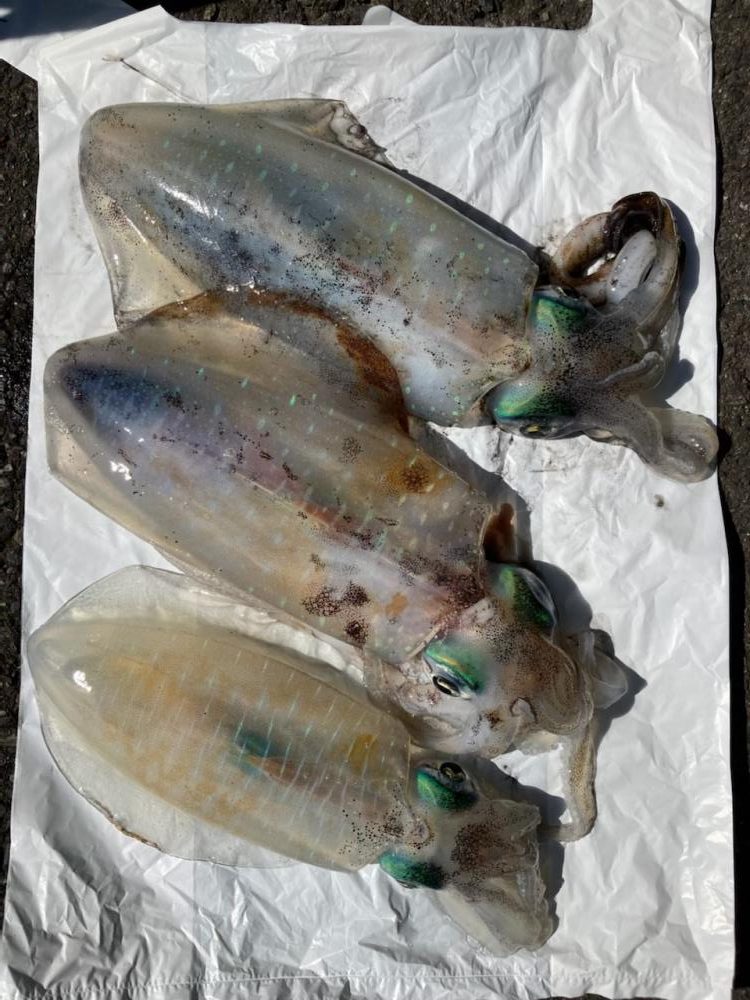 秋のイケイケトリプルヒット