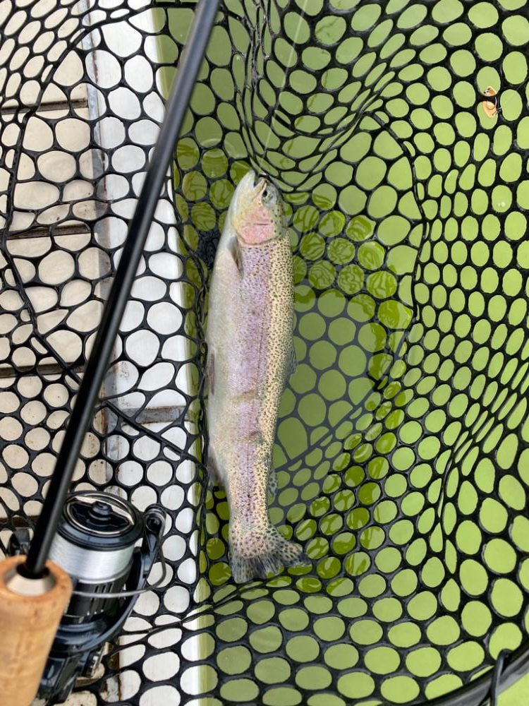 かめプー　貸切でストレスなし