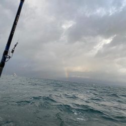 荒ます釣り船でウタセ真鯛