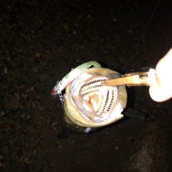 水温下がってきた？