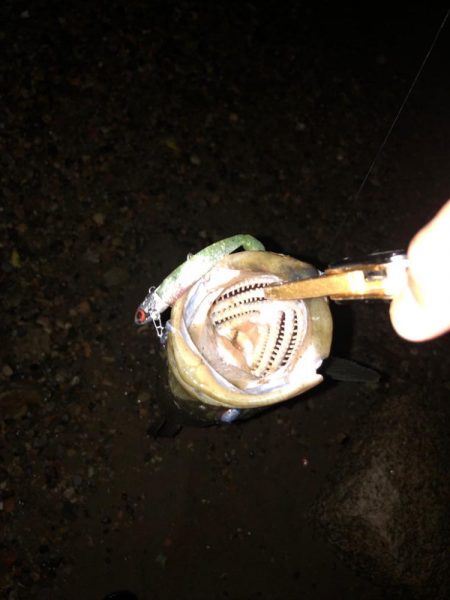 水温下がってきた？