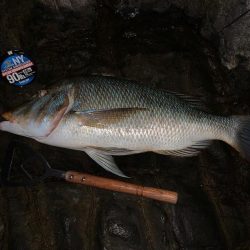 久々のジギング