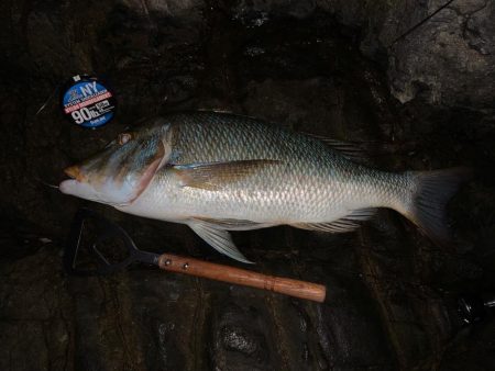 久々のジギング