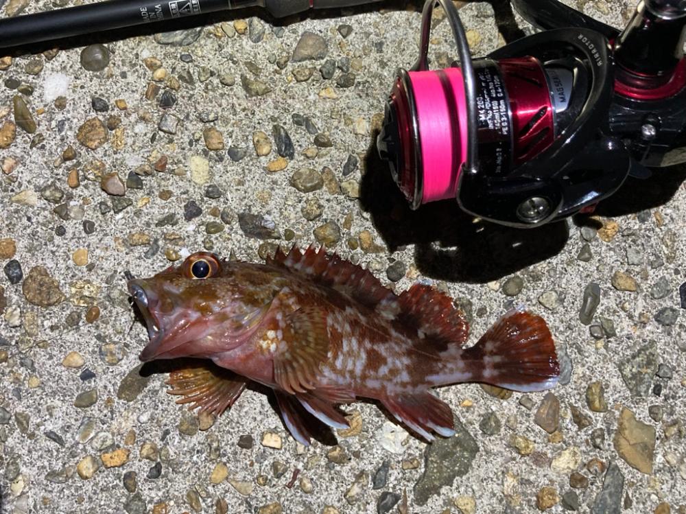 ライトゲーム明石周辺