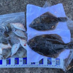 大阪最南端の落ちギス狙い