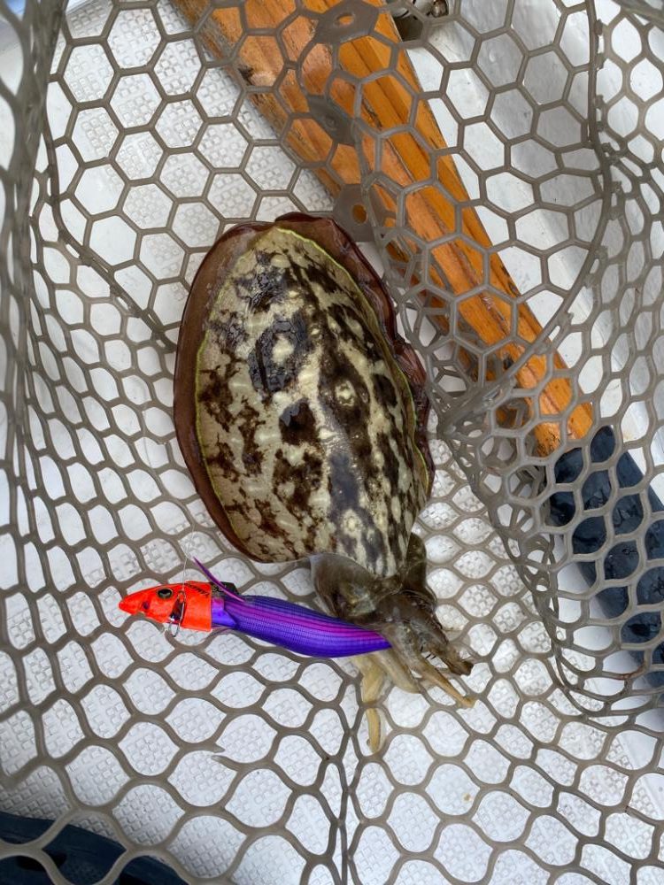 ボートで五目釣り