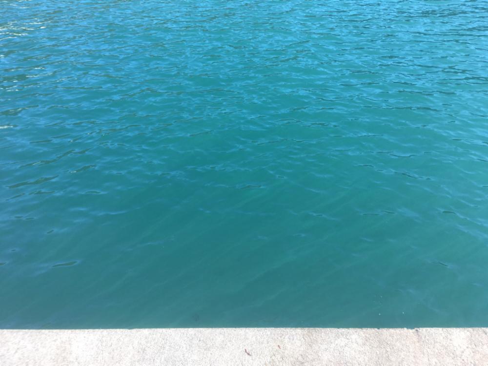 ヤエンデビュー不発