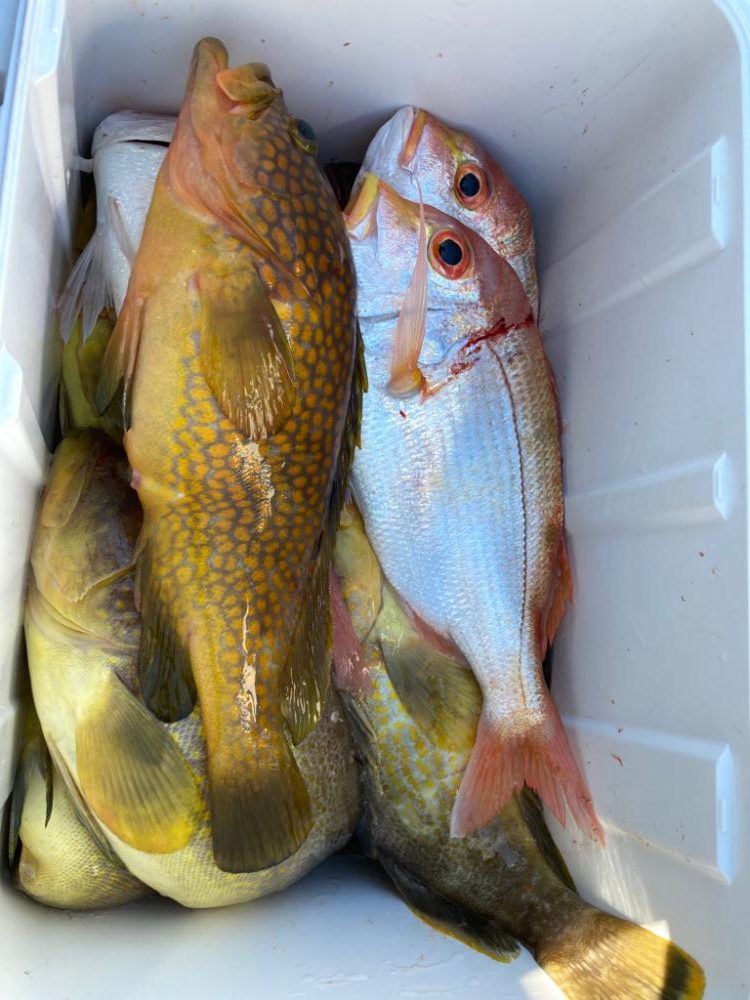 初のタイラバ&ライトジギング