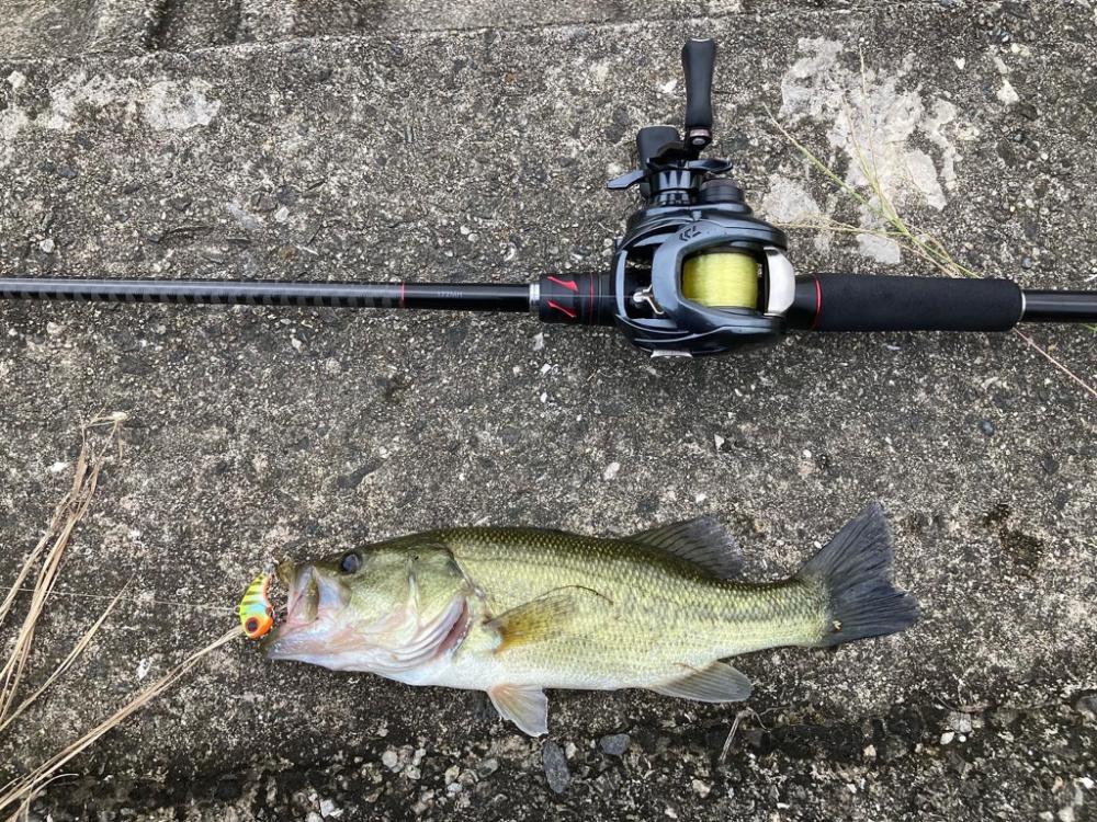 津風呂湖おっかパリ