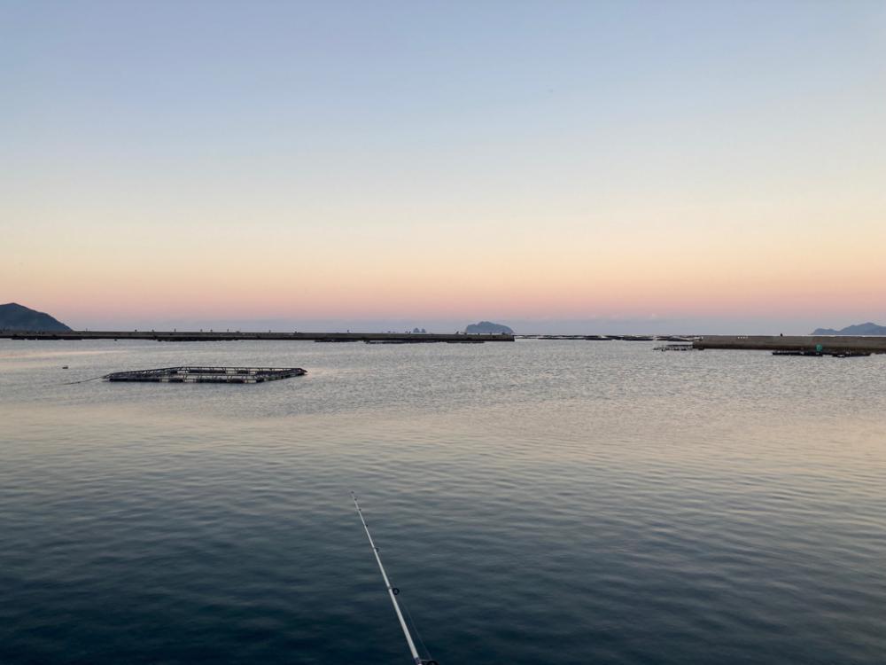 インチキエギング