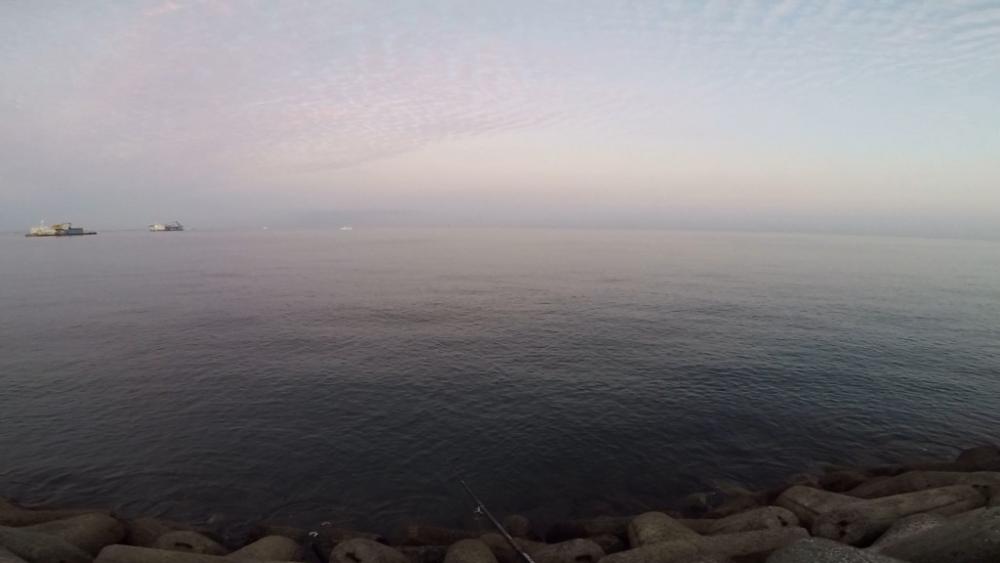 メジロ！2022ライトゲーム第35戦