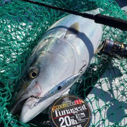 秋のSLJスーパーライトジギング