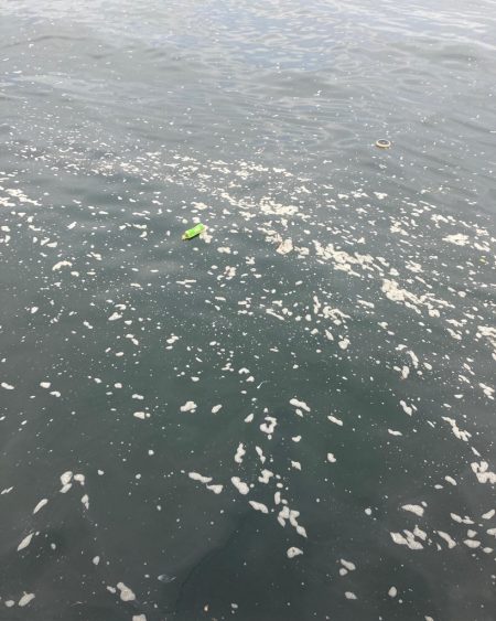 激混み水潮ん中。ギリハマチ43cm。。