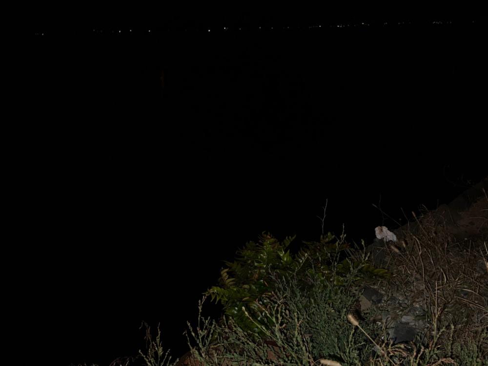 バイブレーションジャーク！