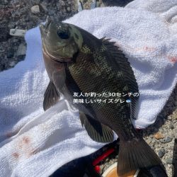 テトラ上からひとりフカセ