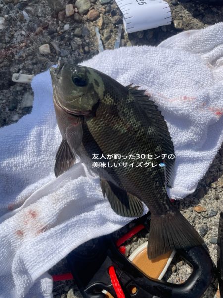 テトラ上からひとりフカセ