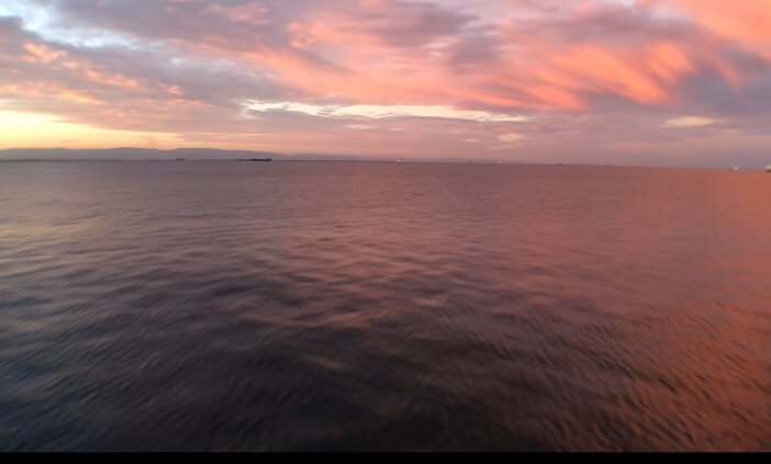 淡路の初秋のタチウオの引き堪能しました！