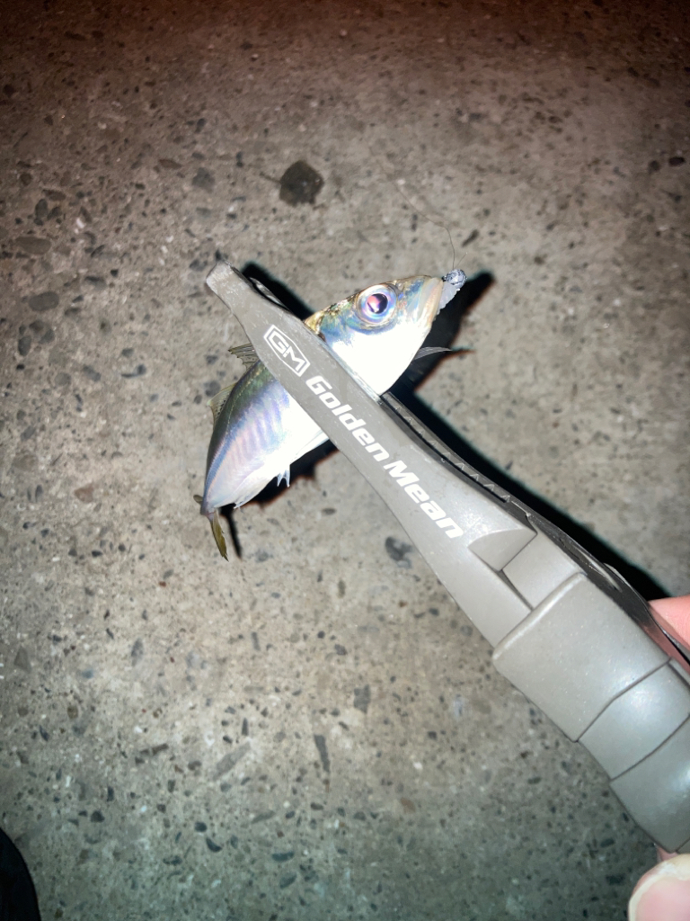 むずかしいアジング