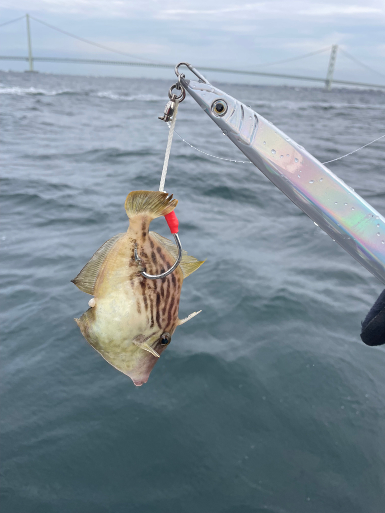 シマノカップin明石