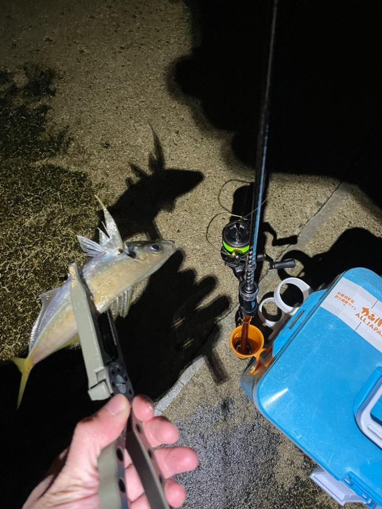 いいサイズでした。