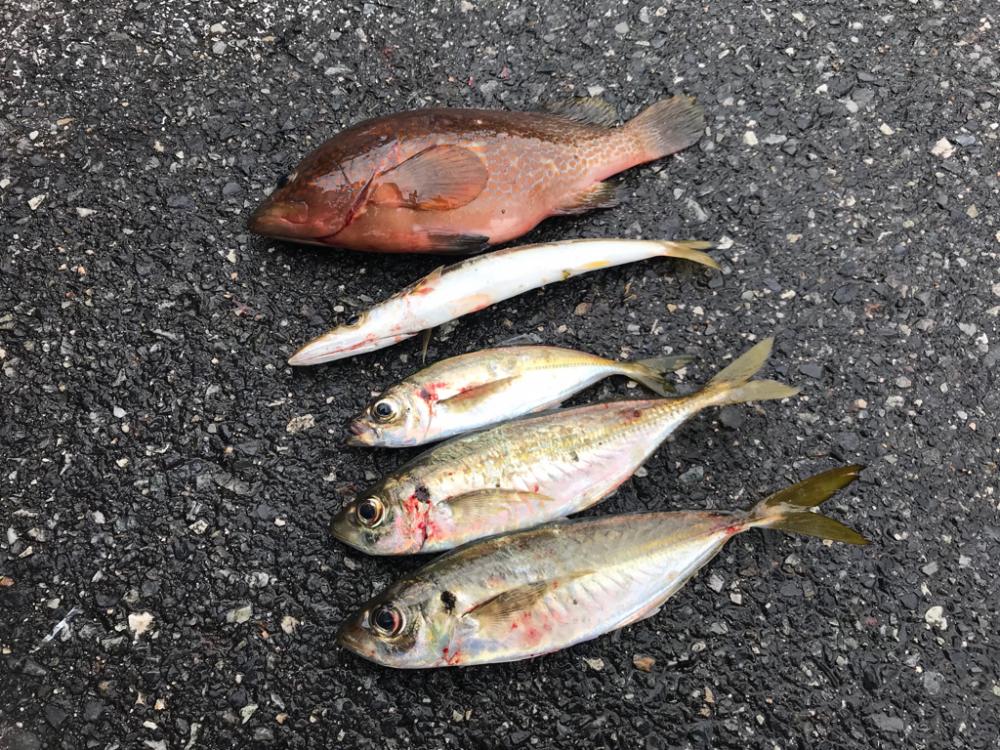 毎週末のルーティン