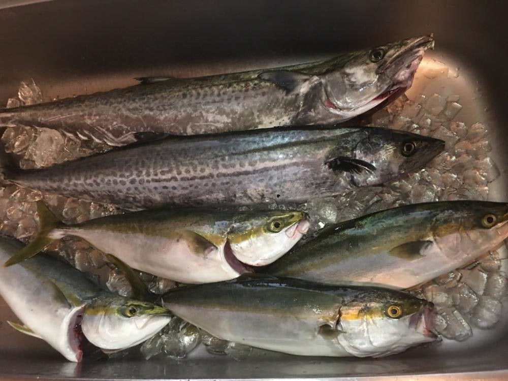 第7回雰囲気あります