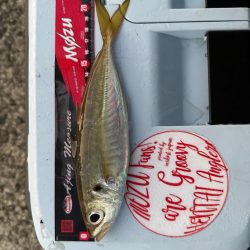 パターンを探す釣り