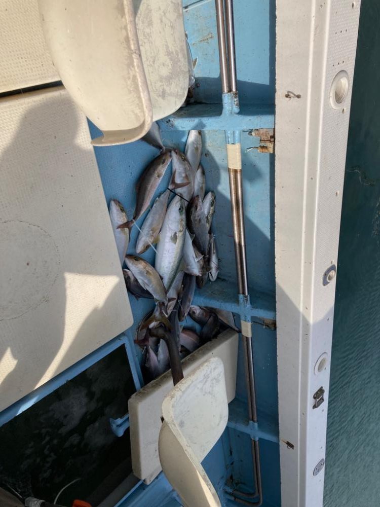 ネリゴジギング