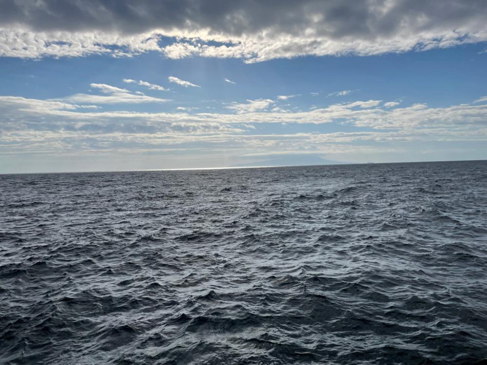 地磯青物-根魚釣行