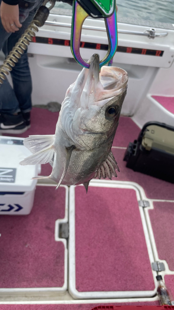 メタルジグにて