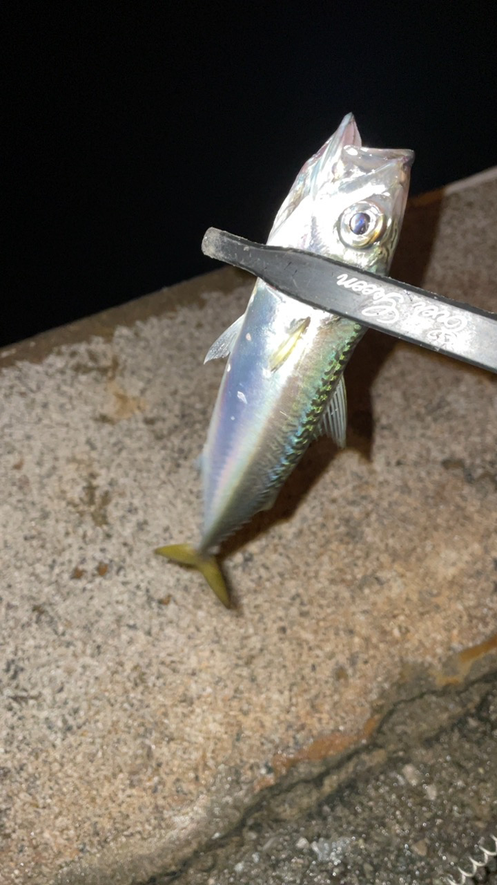 オンスタックル新製品モニター