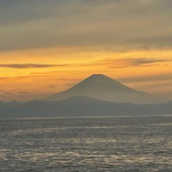 秋アオリキロゲッチュ