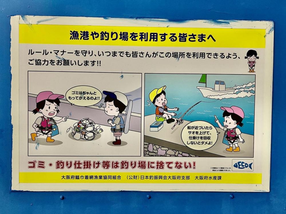 泉佐野アジング