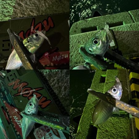 仕事帰りの息抜き