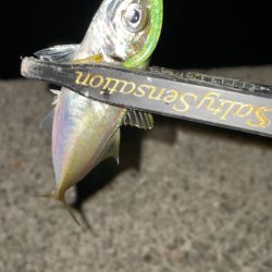 オンスタックルのモニター