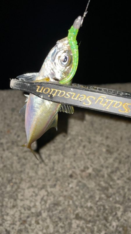 オンスタックルのモニター