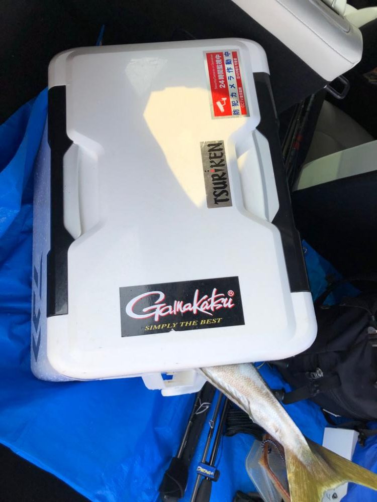 トップでヒット！