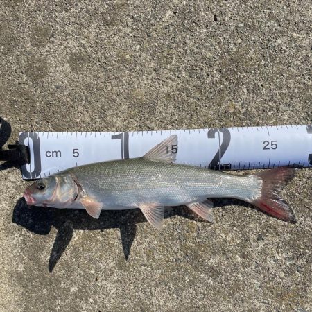 どでかいの釣れたど‼︎♬