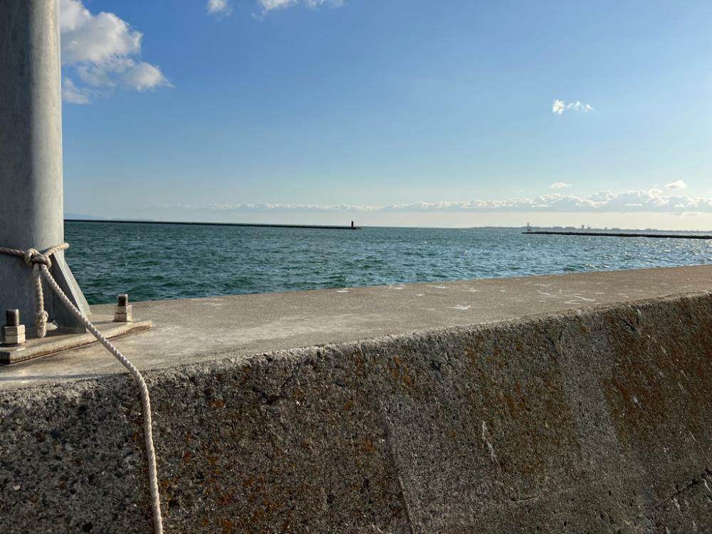 ふらふらフラットフィッシュ！！